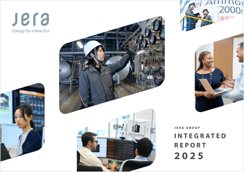 Integrated Report 2025