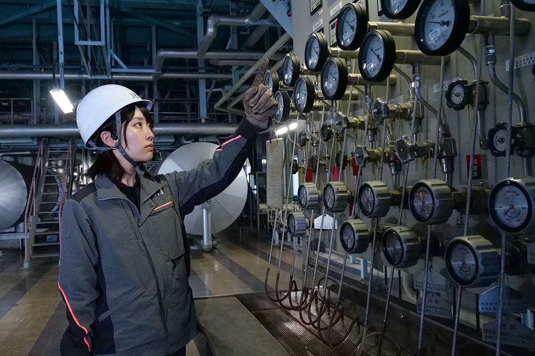 Japan Domestic Thermal Power Generation