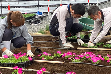 Flowerbed maintenance