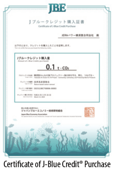 Blue Carbon Initiatives