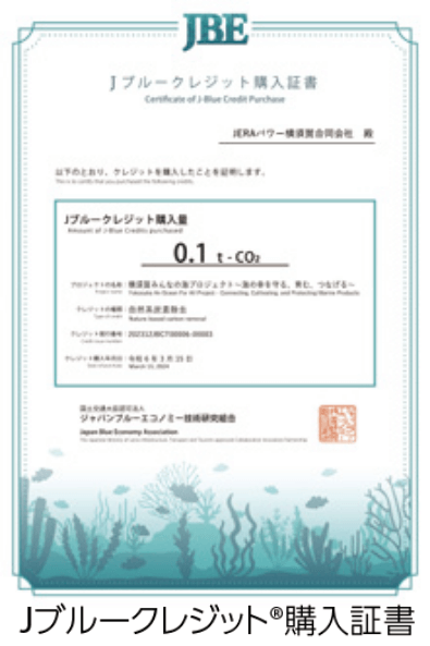 ブルーカーボンの取り組み